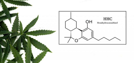 HHC: Der neue Trend in der Welt der Cannabinoide