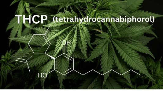 THCP: Die Entdeckung eines vielversprechenden Cannabinoids