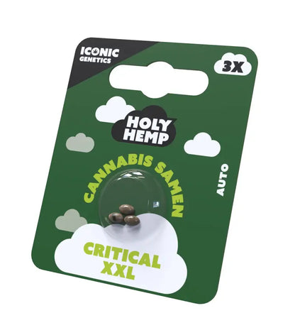 Holy Hemp Cannabis Samen Critical XXL