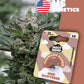 Holy Hemp Cannabis Samen GMO Rootbeer - Cali Seeds