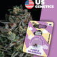 Holy Hemp Cannabis Samen Purple Milkshake - Cali Seeds